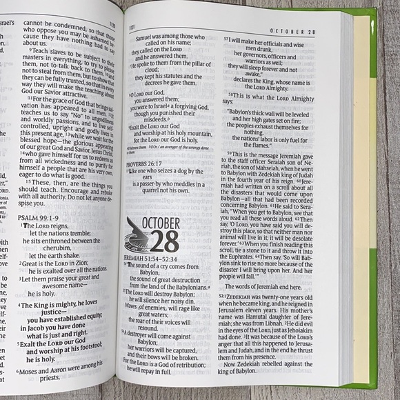 One Year Bible NIV  FREE WITH PURCHASE - Picture 8 of 11